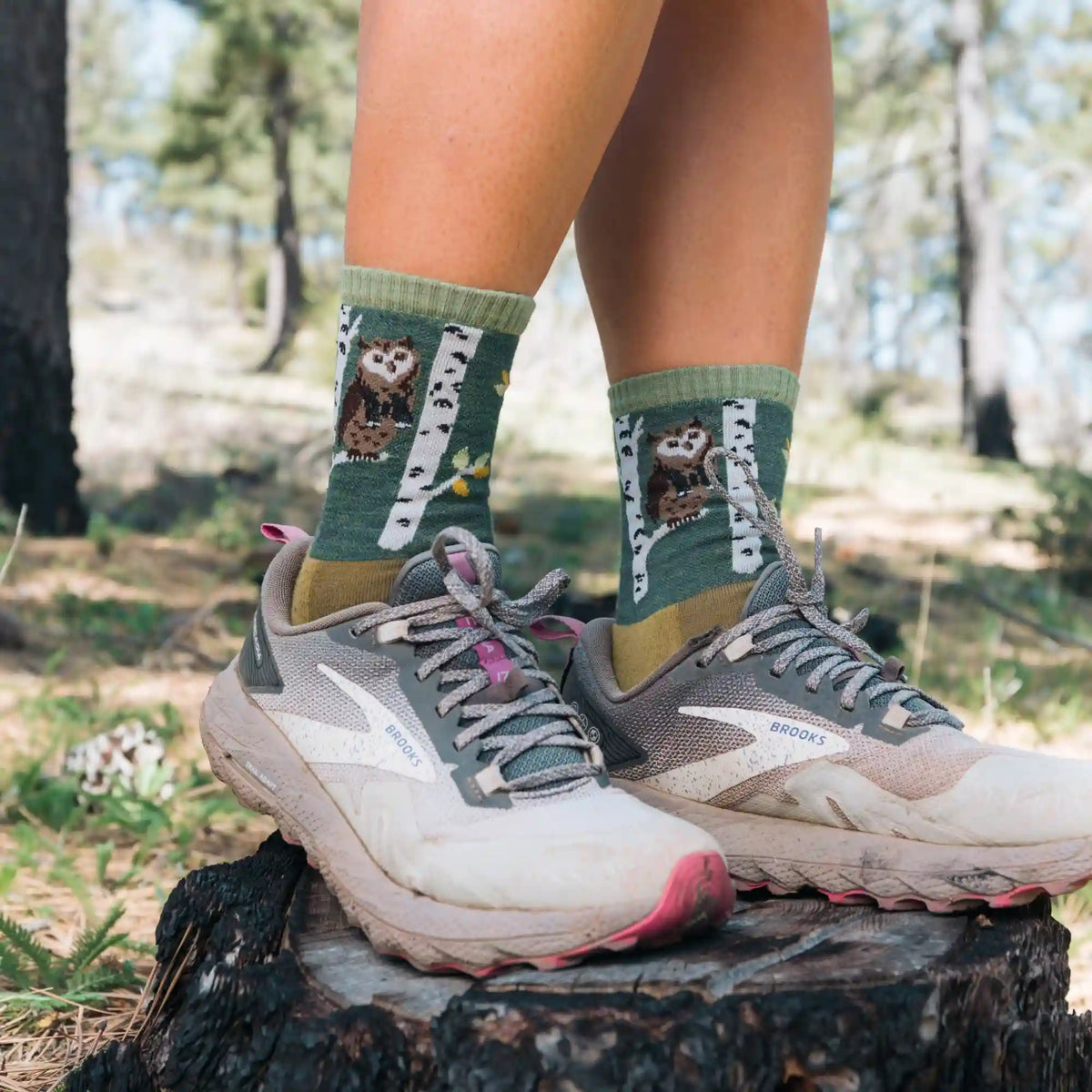 Women's Multi-Weight Micro Crew Sock 3-Pack